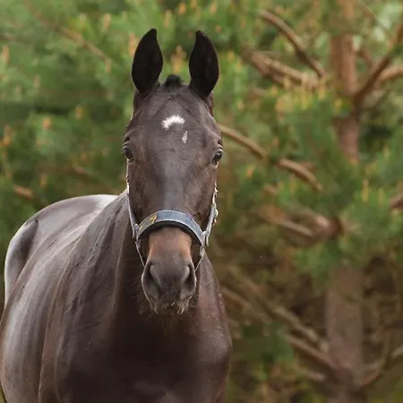 Feriepark Noce I Dnie Postołowo