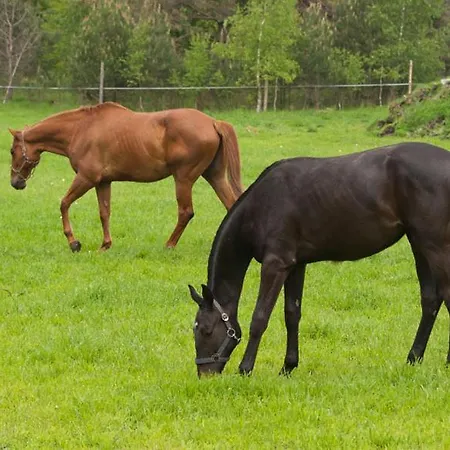Noce I Dnie 3* Postołowo