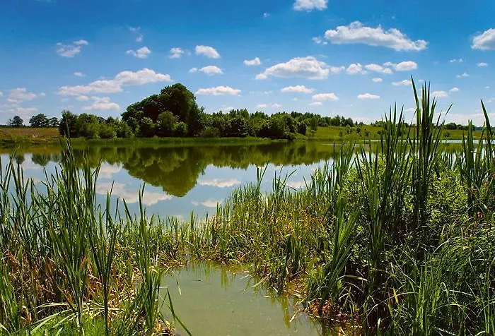 Noce I Dnie منتزه العطل